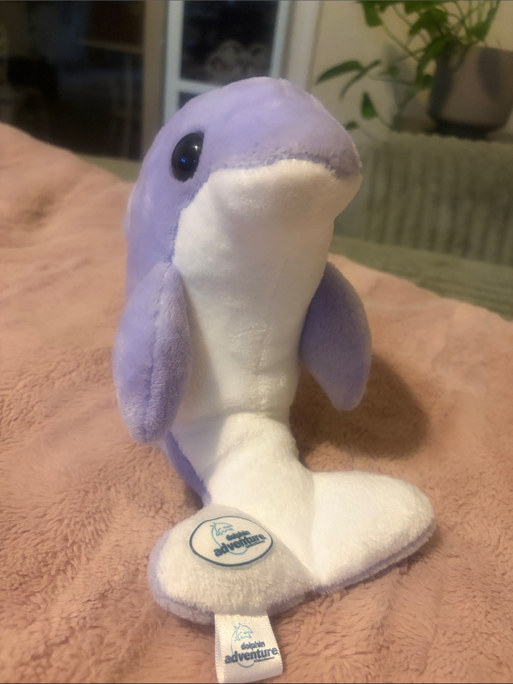 Plush Purple and White Dolphin Stuffed Animal - Collection